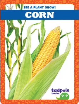 A book cover features a vibrant yellow ear of corn with green husks, against a background of corn stalks and a border of orange circles.
